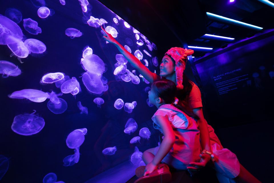 sea aquarium meduses