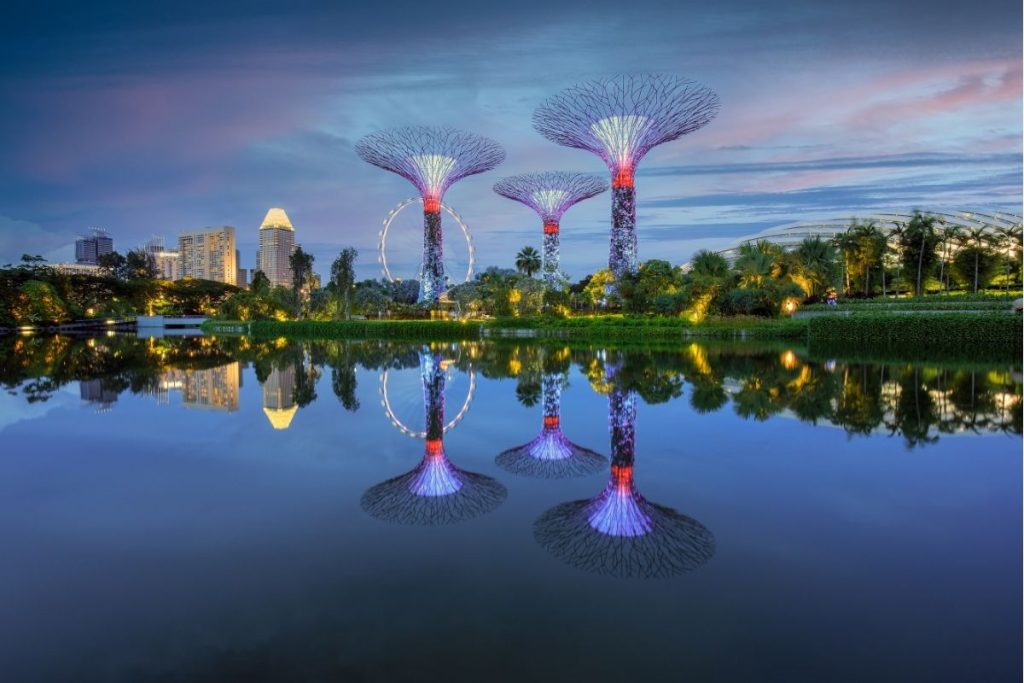 garden by the bay parc futuriste