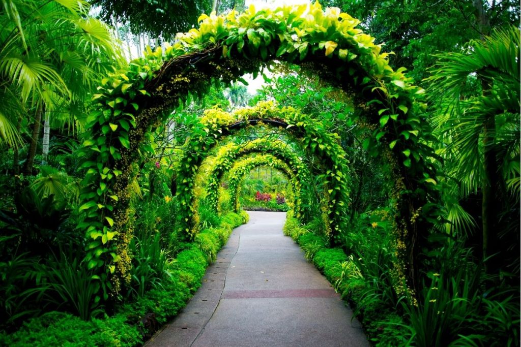 jardins botaniques singapour