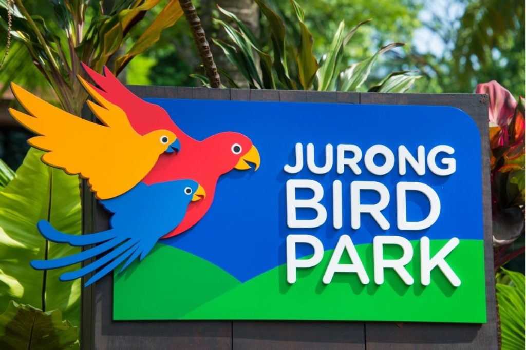 jurong bird
