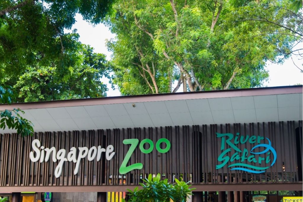 zoo de singapour