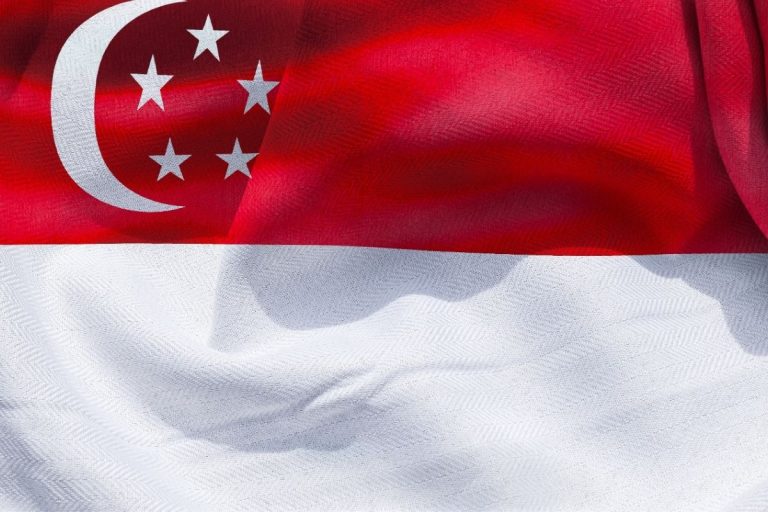 drapeau singapour