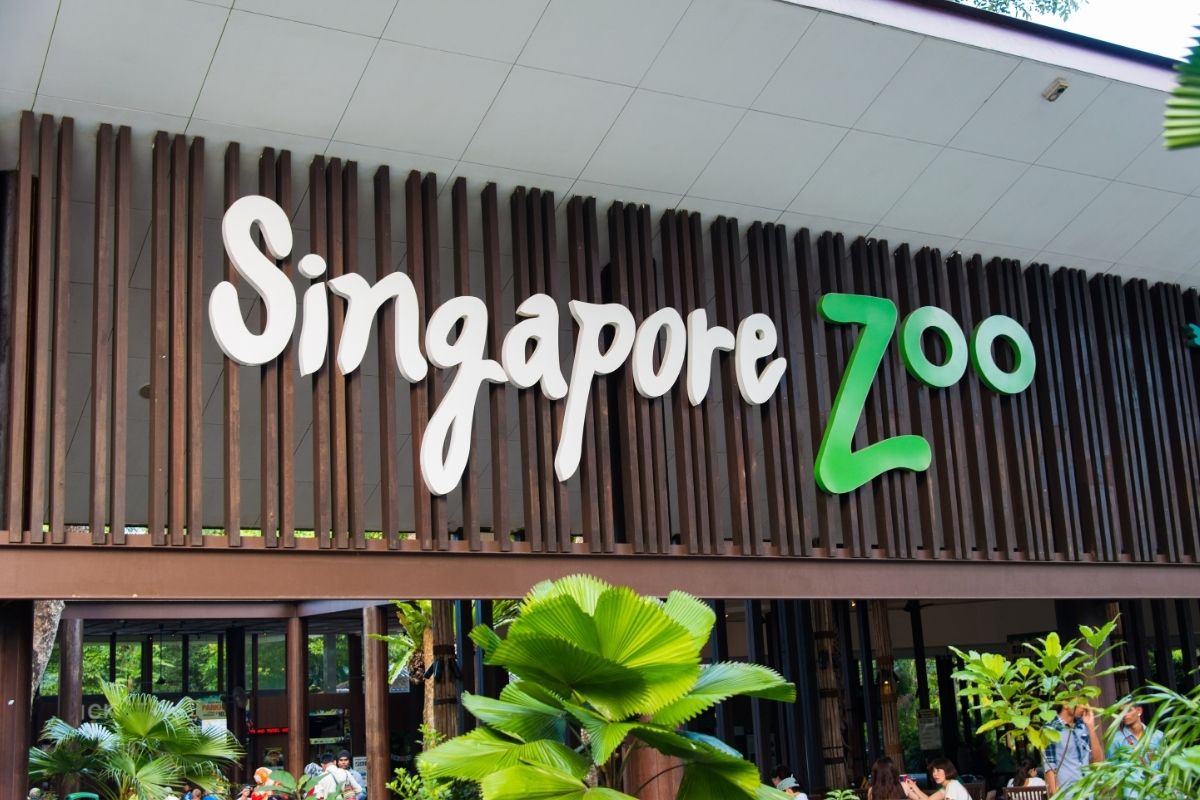 zoo de singapour